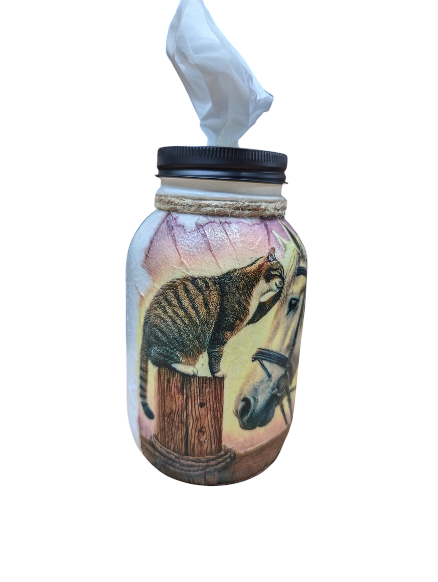 Best Friends Cat and Horse Mason Jar