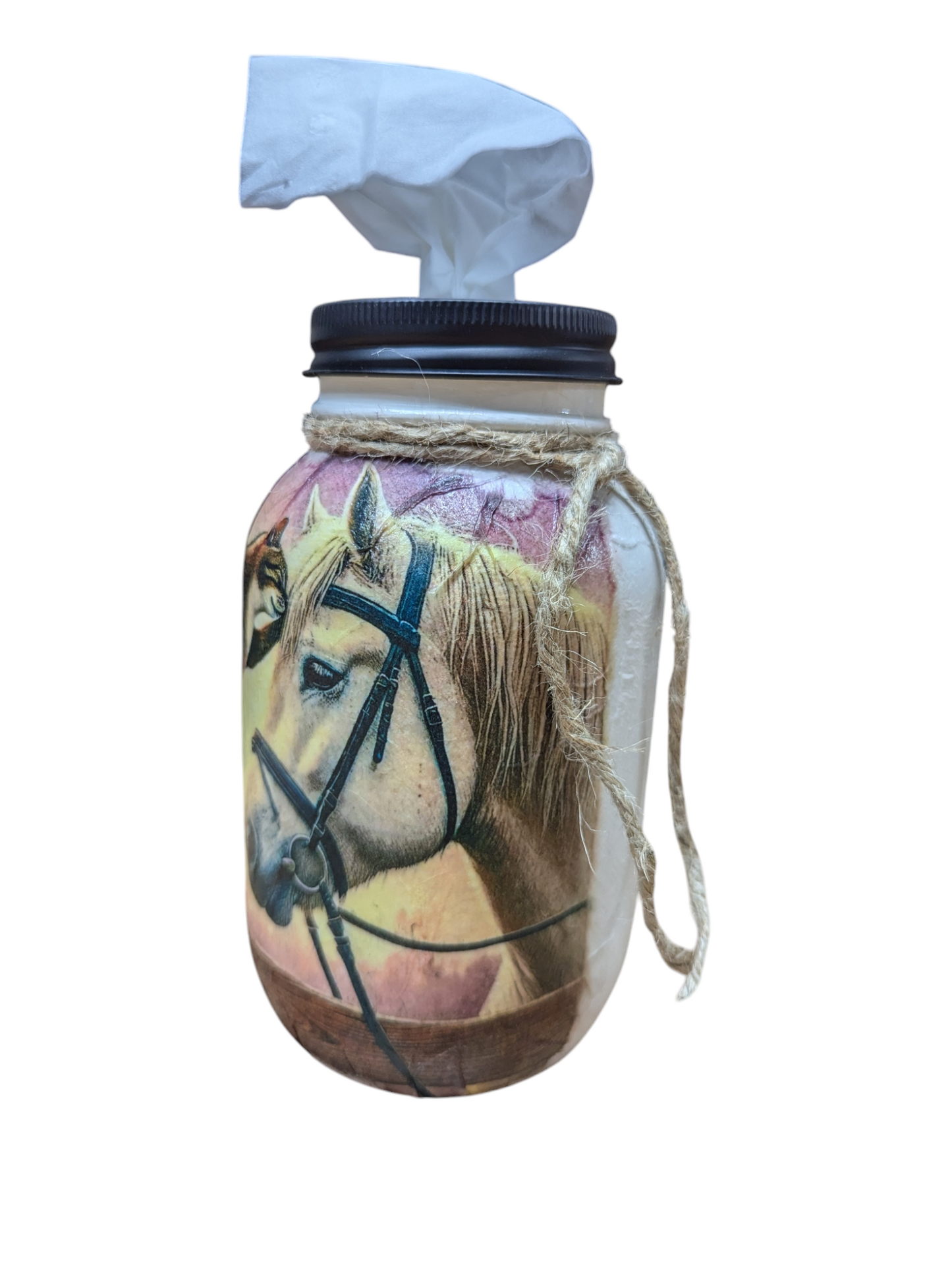 Best Friends Cat and Horse Mason Jar