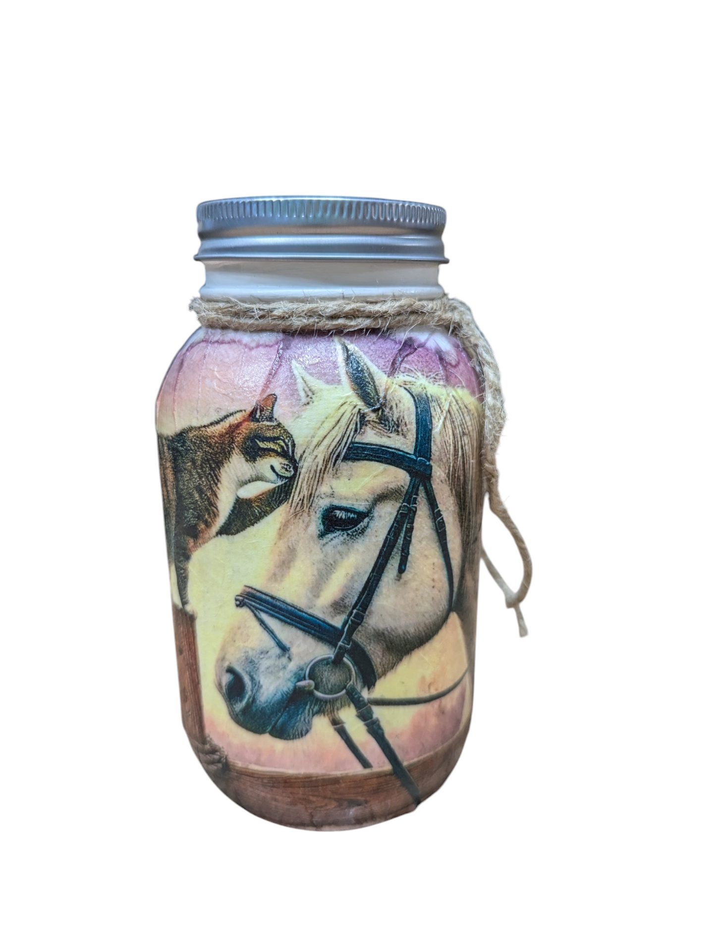 Best Friends Cat and Horse Mason Jar