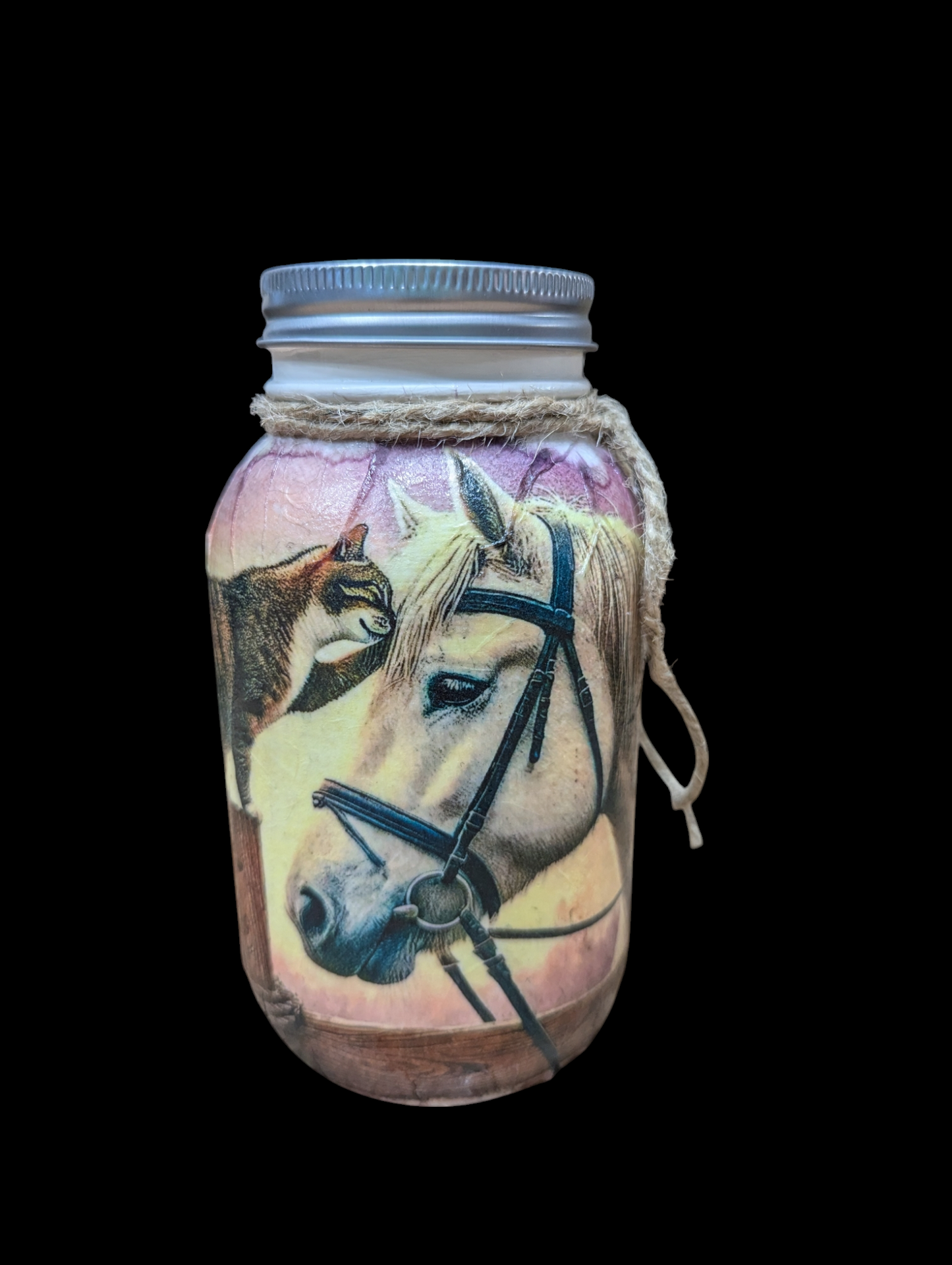 Best Friends Cat and Horse Mason Jar