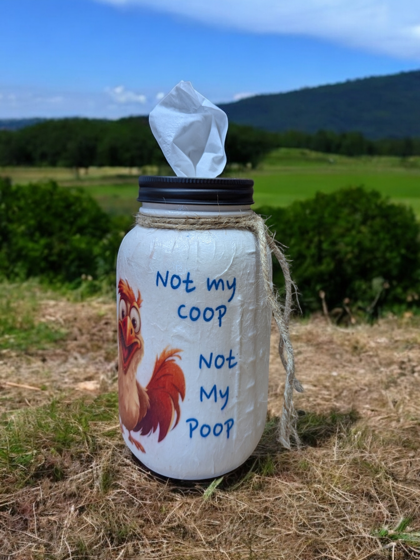 Not my Coop Quirky Chicken Mason Jar