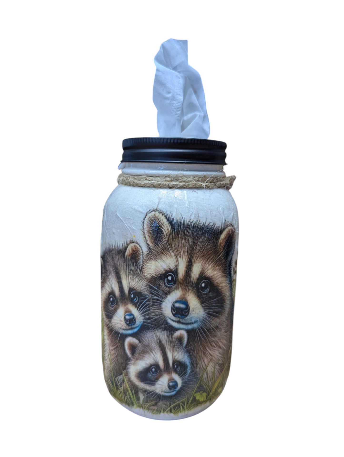 Raccoon Babies with Mom Mason Jar