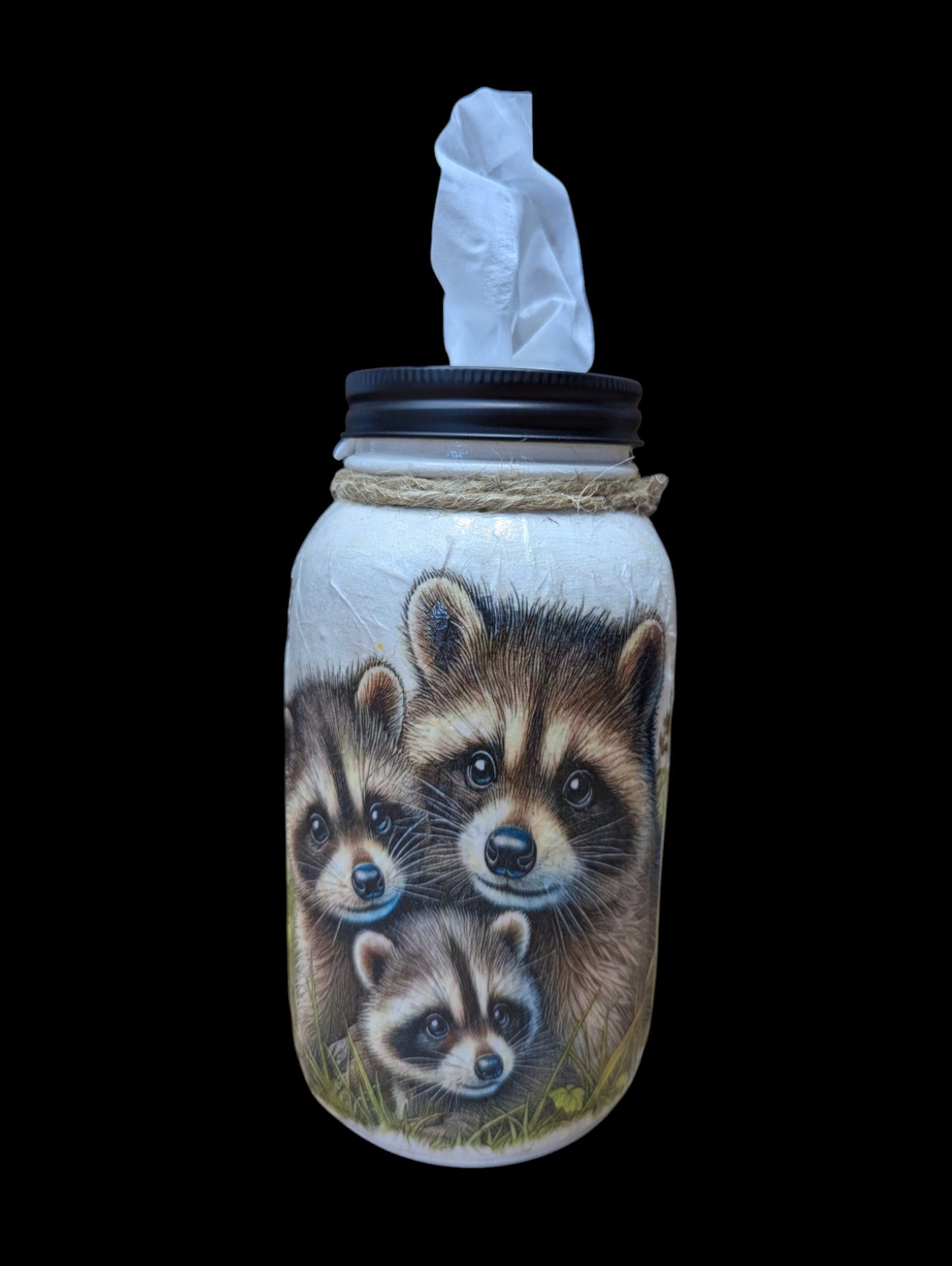 Raccoon Babies with Mom Mason Jar