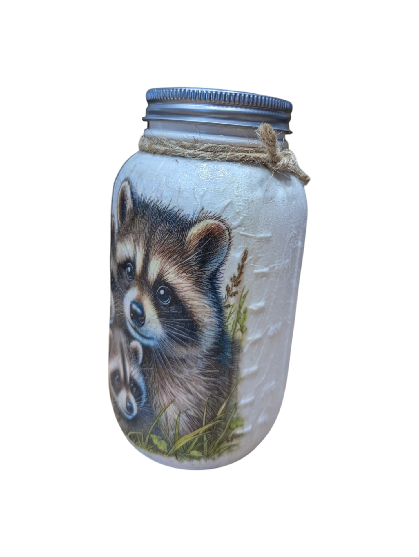 Raccoon Babies with Mom Mason Jar