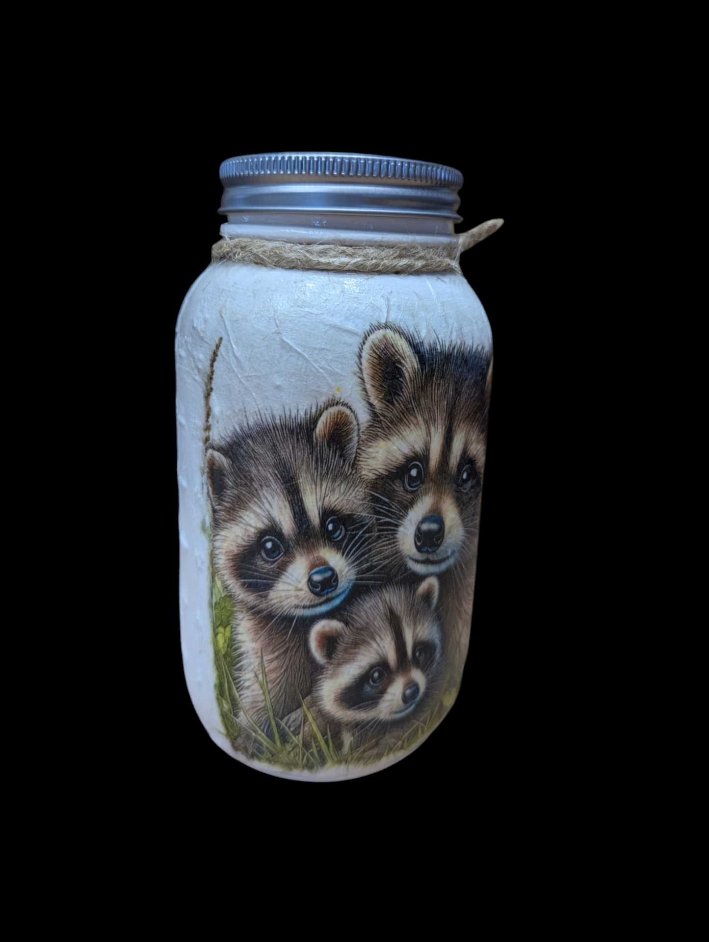 Raccoon Babies with Mom Mason Jar