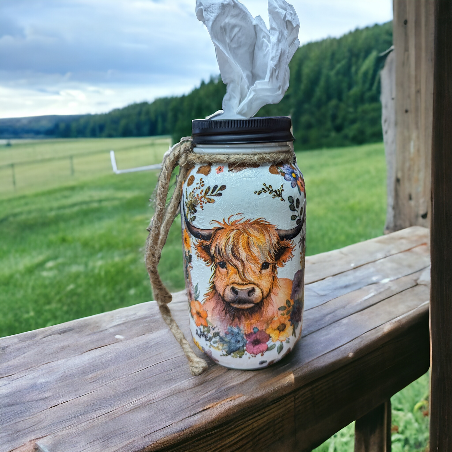 Highland Cow Mason Jar with Lid Choice (soap pump, tissue dispenser coin bank, vase,or light)