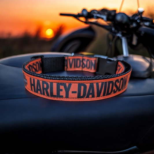 Motorcycle Dog Collar